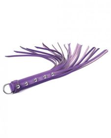 Spartacus 20 inches Strap Whip Purple - TCN-BSPL-10CP